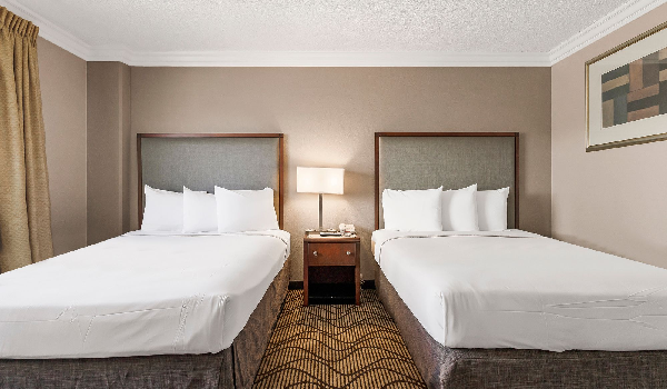 Relax in our modern and cozy guest rooms